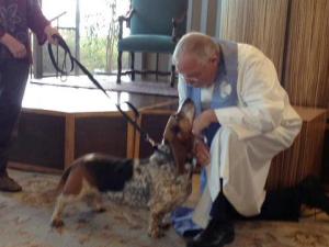 398176_4332529964165_745754360_n